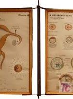 poliptico del parto sin dolor - años 1960 - despacho ginecologico  189x60 cm